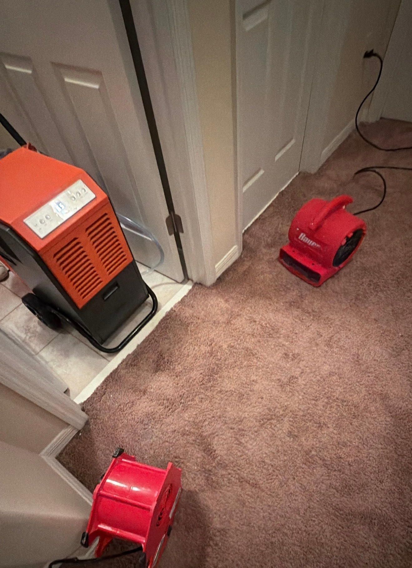 Bio-Cleaning Services dehumidifier and air movers providing emergency water-extraction and dry-out support.